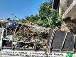 Best Construction Debris Removal in Cahokia, IL